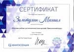 Сертификат 2